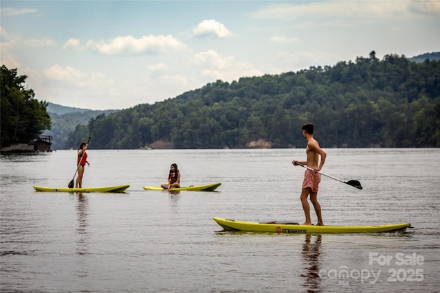 273 Bluebird Rd, Lake Lure, NC 28746 - water view featuring a forest
