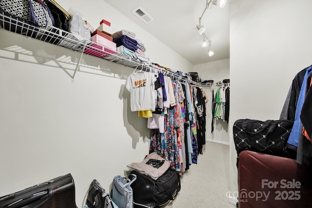 2117 Seabrook Ln, Fort Mill, SC 29715 - spacious closet featuring carpet flooring