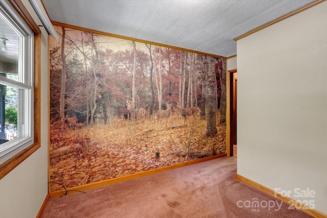 spare room with crown molding, carpet floors, a textured ceiling, and baseboards