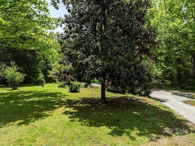 view of grassy yard featuring a view of trees