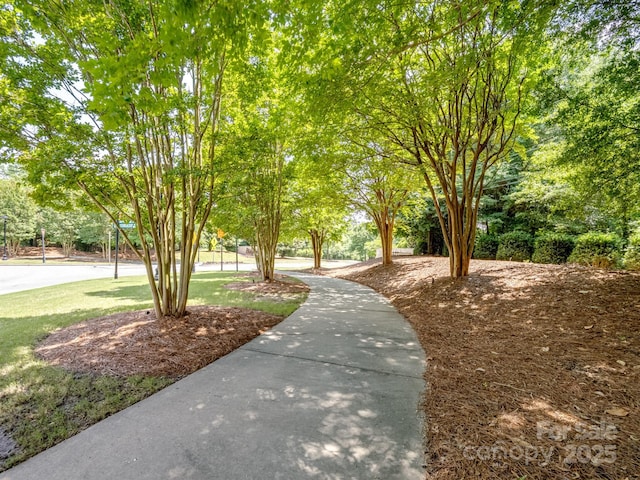 15429 Topanga Dr, Charlotte, NC 28278 - photo 48