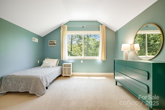 17 Beaverdam Ct, Asheville, NC 28804 - photo 25
