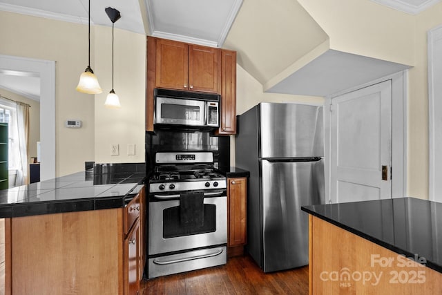 45 Woodvale Ave, Asheville, NC 28804 - kitchen featuring appliances with stainless steel finishes, a peninsula, dark wood-style flooring, crown molding, and brown cabinets