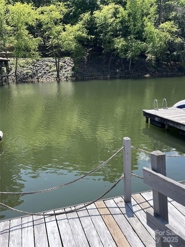 26056 Neptunes Lndg, Fort Mill, SC 29708 - dock area with a water view