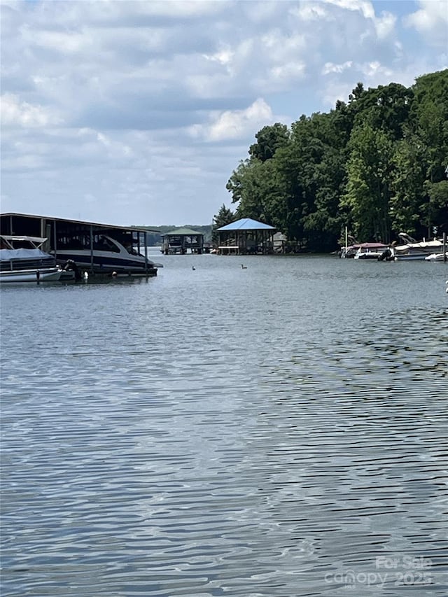 26056 Neptunes Lndg, Fort Mill, SC 29708 - water view