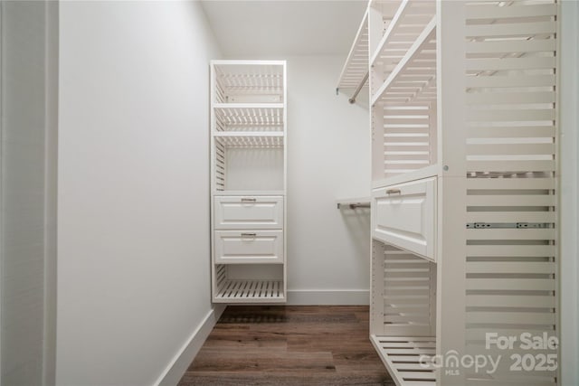 26056 Neptunes Lndg, Fort Mill, SC 29708 - walk in closet with wood finished floors