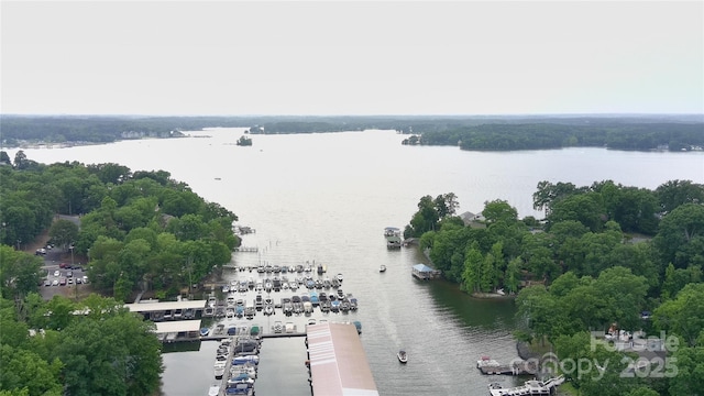 26056 Neptunes Lndg, Fort Mill, SC 29708 - drone / aerial view of a large body of water