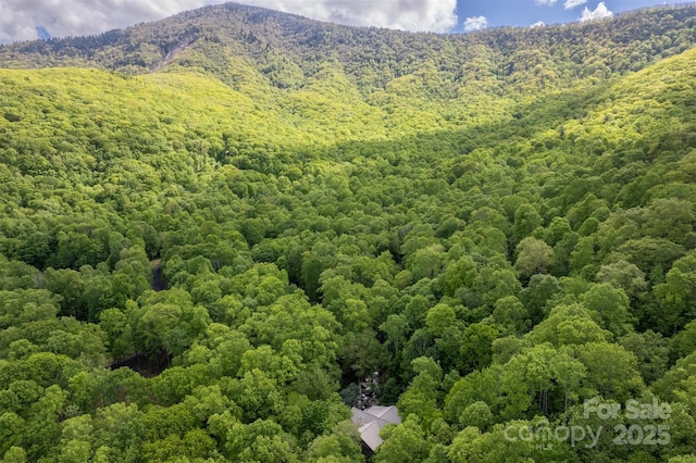 350 Celo Cove Dr, Burnsville, NC 28714 - photo 5