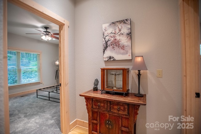 350 Celo Cove Dr, Burnsville, NC 28714 - photo 28