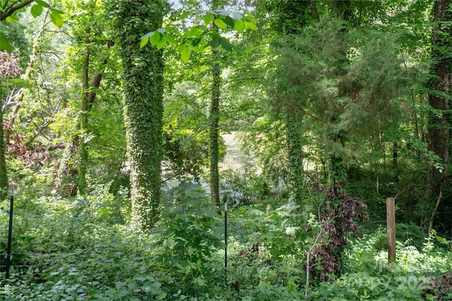 view of wooded area