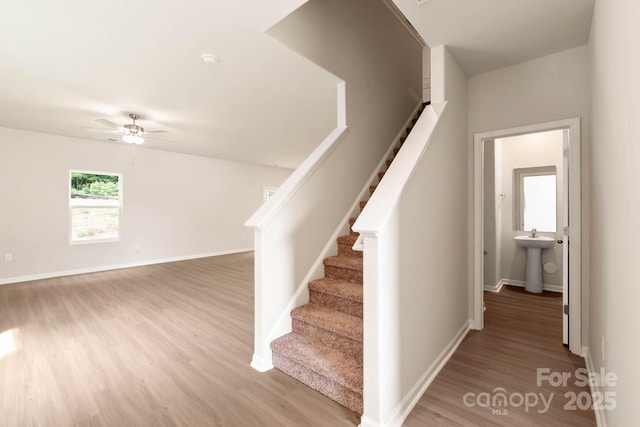 3334 Strong Box Ln, Gastonia, NC 28052 - stairway with wood finished floors, ceiling fan, and baseboards