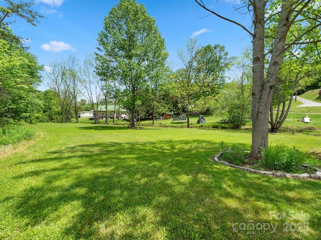 9 Ruff Rd, Leicester, NC 28748 - view of grassy yard