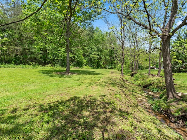 9 Ruff Rd, Leicester, NC 28748 - view of green lawn with a forest view
