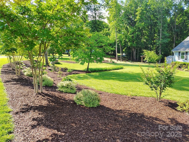 322 Killian Rd, Stanley, NC 28164 - view of grassy yard with view of wooded area