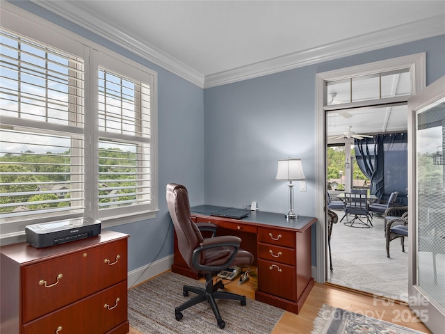 5 Holland Mountain Vw, Asheville, NC 28804 - office with healthy amount of natural light, light wood-style flooring, crown molding, ceiling fan, and baseboards