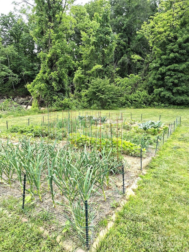 5 Holland Mountain Vw, Asheville, NC 28804 - view of yard featuring a vegetable garden