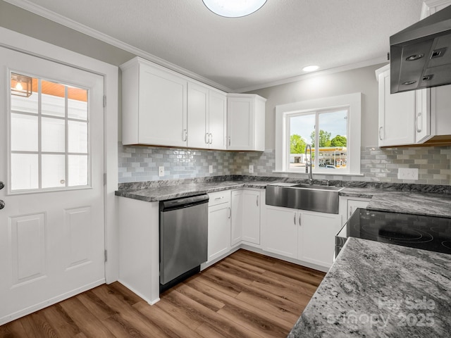 411 W Sycamore St, Lincolnton, NC 28092 - kitchen with dishwasher, crown molding, a sink, exhaust hood, and dark wood-style flooring