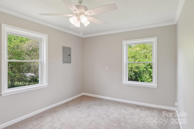 empty room with healthy amount of natural light, carpet floors, baseboards, and crown molding