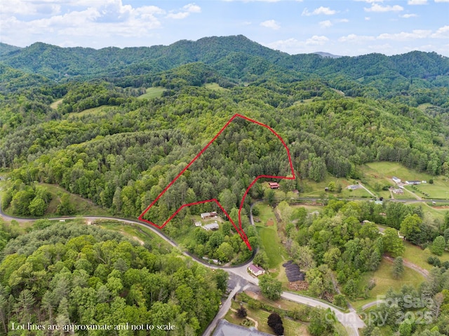TBD Jacks Creek Rd, Burnsville, NC 28714 - photo 1
