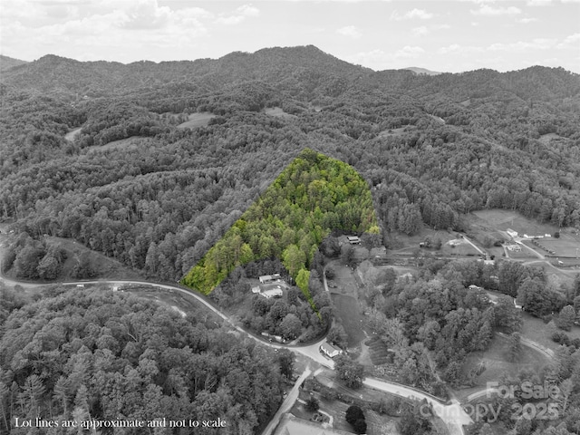 TBD Jacks Creek Rd, Burnsville, NC 28714 - photo 2