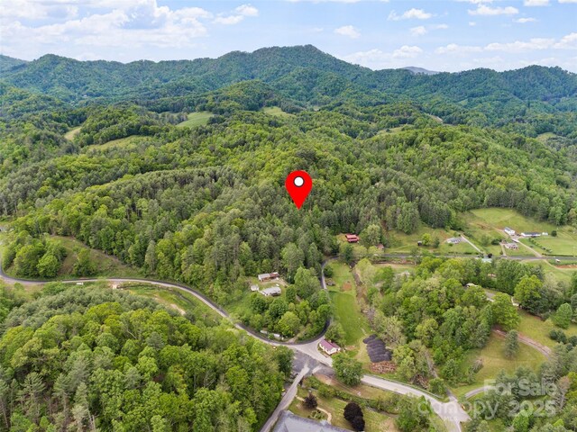 TBD Jacks Creek Rd, Burnsville, NC 28714 - photo 3
