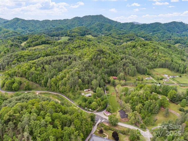 TBD Jacks Creek Rd, Burnsville, NC 28714 - photo 4