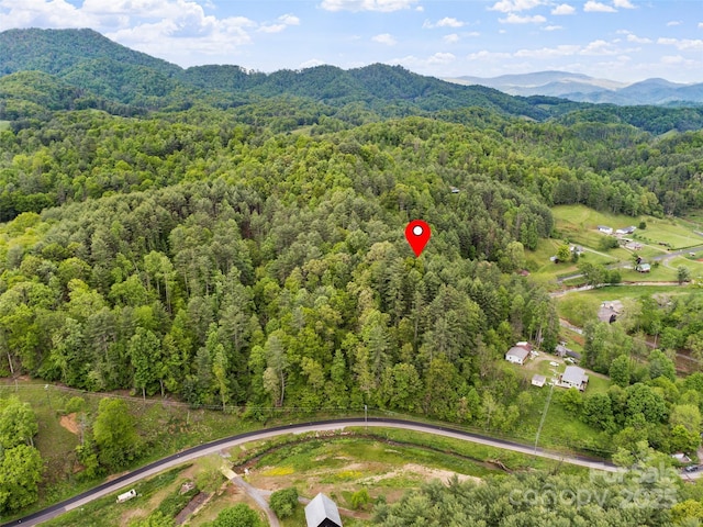 TBD Jacks Creek Rd, Burnsville, NC 28714 - photo 5