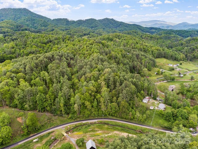 TBD Jacks Creek Rd, Burnsville, NC 28714 - photo 6