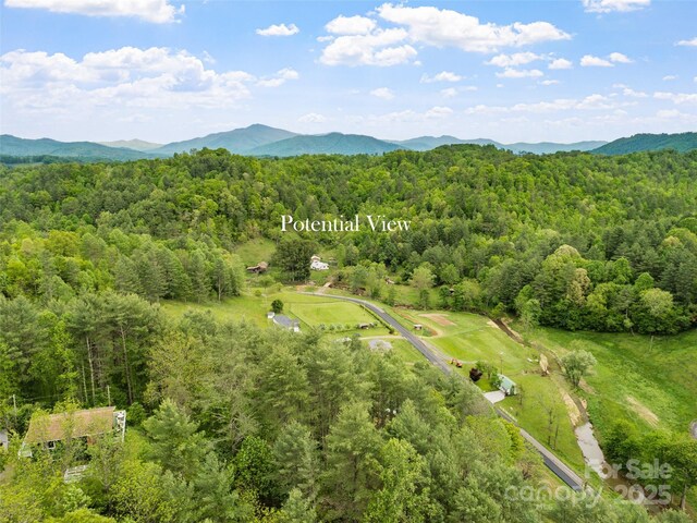 TBD Jacks Creek Rd, Burnsville, NC 28714 - photo 7