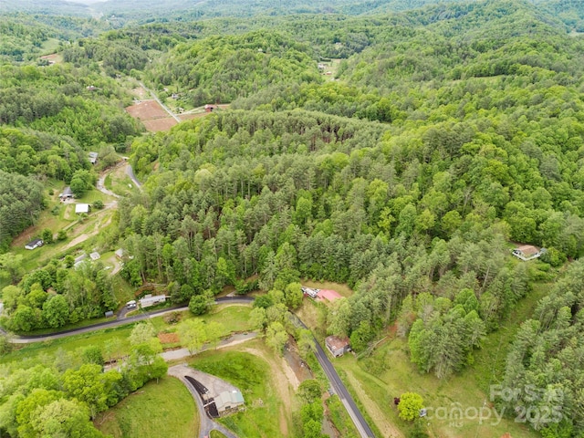 TBD Jacks Creek Rd, Burnsville, NC 28714 - photo 9