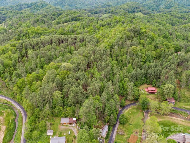 TBD Jacks Creek Rd, Burnsville, NC 28714 - photo 10
