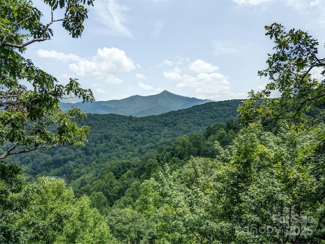 000 White Rock Branch Rd, Candler, NC 28715