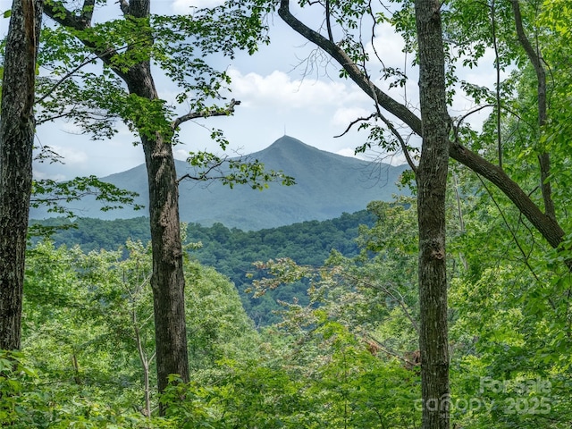 000 White Rock Branch Rd, Candler, NC 28715