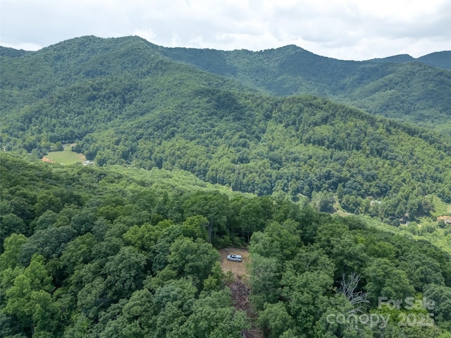 000 White Rock Branch Rd, Candler, NC 28715