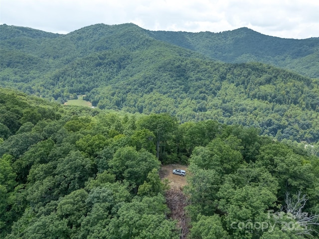000 White Rock Branch Rd, Candler, NC 28715