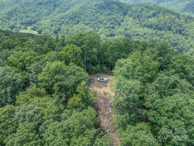 000 White Rock Branch Rd, Candler, NC 28715