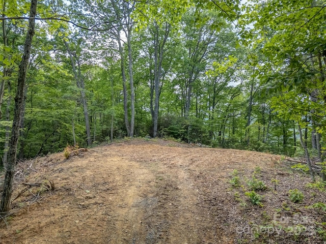 000 White Rock Branch Rd, Candler, NC 28715