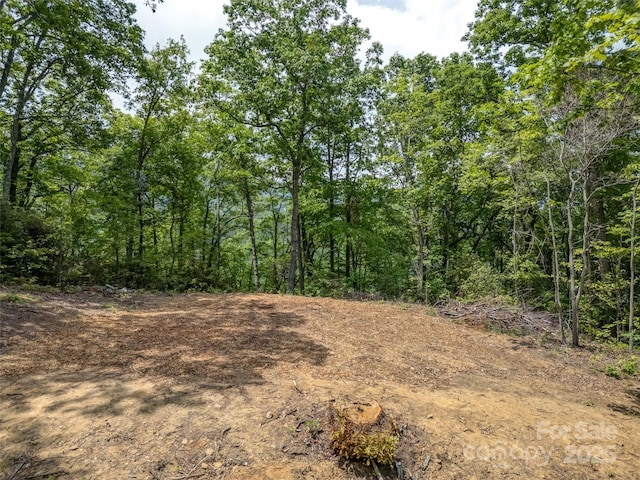 000 White Rock Branch Rd, Candler, NC 28715