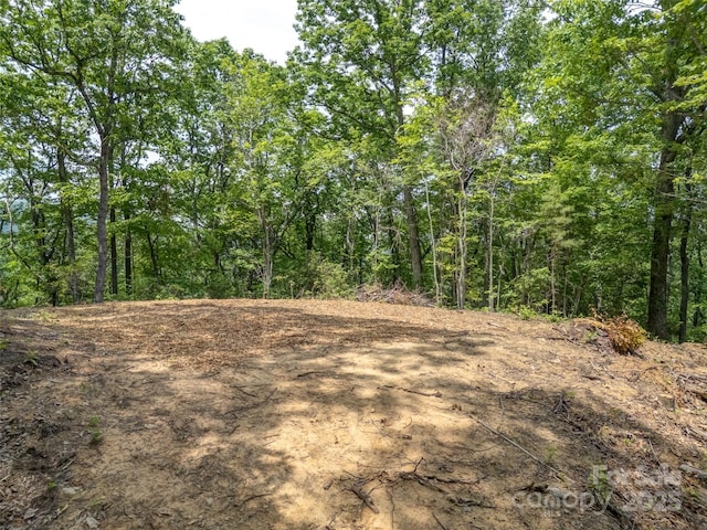 000 White Rock Branch Rd, Candler, NC 28715