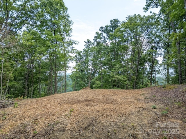 000 White Rock Branch Rd, Candler, NC 28715