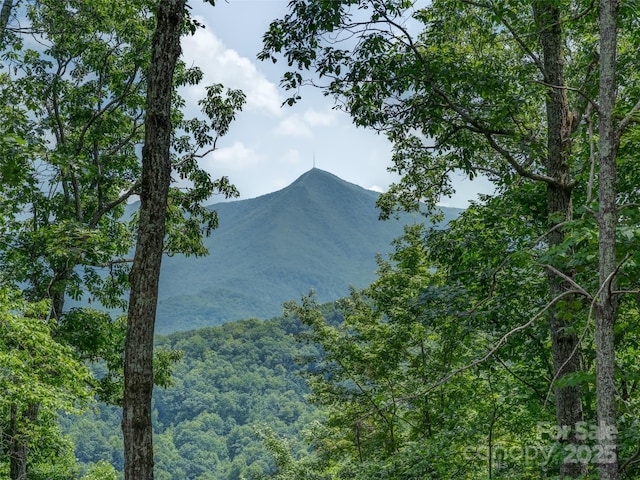 000 White Rock Branch Rd, Candler, NC 28715