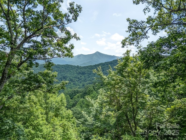 000 White Rock Branch Rd, Candler, NC 28715