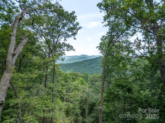 000 White Rock Branch Rd, Candler, NC 28715