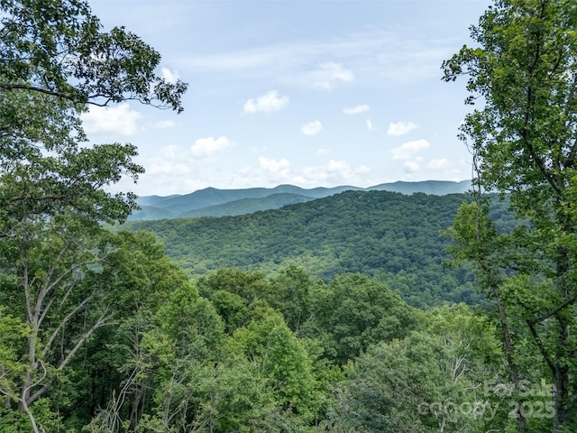 000 White Rock Branch Rd, Candler, NC 28715