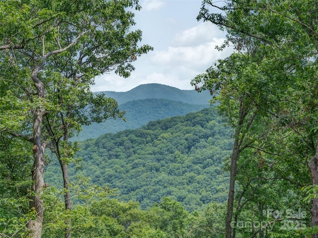 000 White Rock Branch Rd, Candler, NC 28715