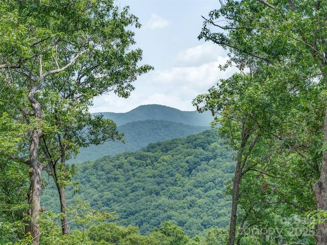 000 White Rock Branch Rd, Candler, NC 28715