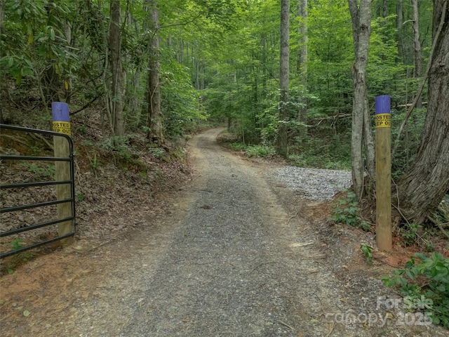 000 White Rock Branch Rd, Candler, NC 28715