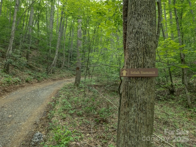 000 White Rock Branch Rd, Candler, NC 28715