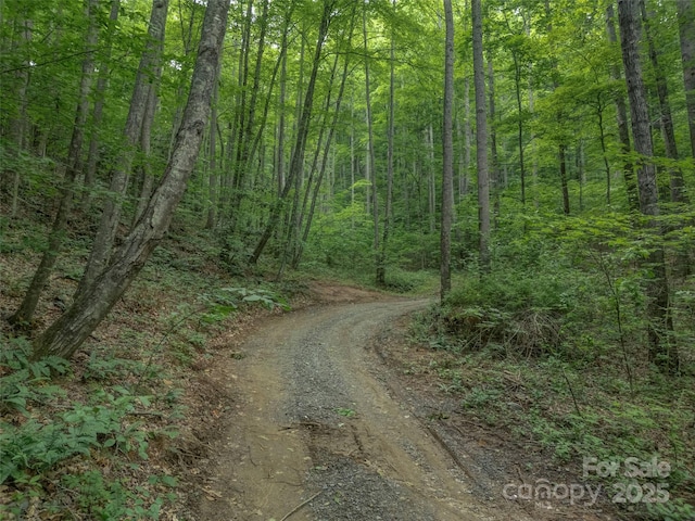 000 White Rock Branch Rd, Candler, NC 28715