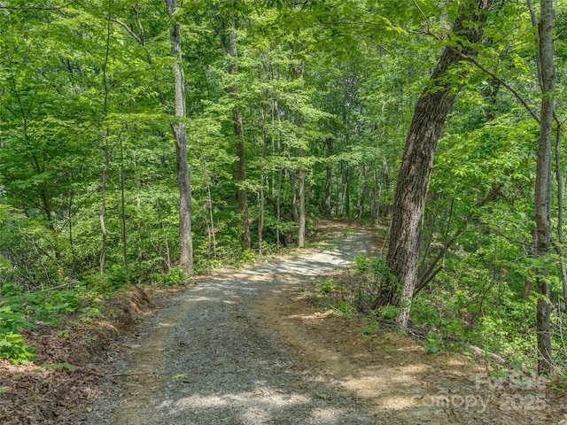 000 White Rock Branch Rd, Candler, NC 28715